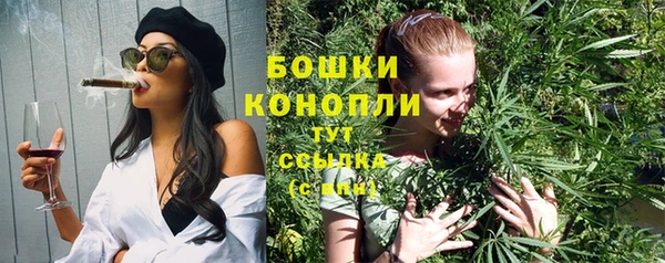 гидропоника Белокуриха